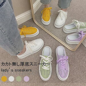 Xj[J[  fB[X LpXV[Y JJg T_  Xbp Ol܂ Xj[J[T_ Xj[J[ tbgV[Y y`