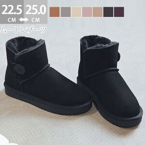 ubNXm[u[c H~V fB[X Xm[V[Y V[gu[c JWA ۉ {A  V[Y C w o^C 2023 v[g