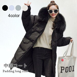 ȃR[g fB[X OR[g  ȓ t@[t u] t[ht tFCNt@[ O |Pbgt   o^C 2023 v[g