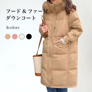 _ER[g fB[X t@[R[g g R[g  LeBOR[g ~ t[htR[g _E OR[g AE^[ t[ht o^C 2023 v[g