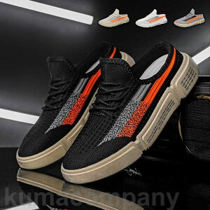 Xj[J[ Y C Xb|  EH[LOV[Y  ƂȂXj[J[  JWAV[Y ʊwC _bhXj[J[