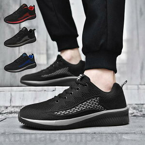 jOV[Y Y fB[X Xj[J[ EH[LOV[Y C  ^C jO V[Y Ȃ y ʊw ʋ 