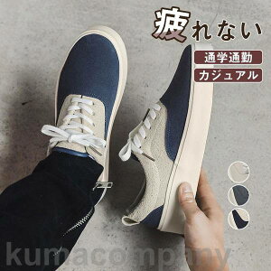 Xj[J[ [Jbg Y y ᔽ  I[V[Y lC  ʊw ʋ ɂ   JWA