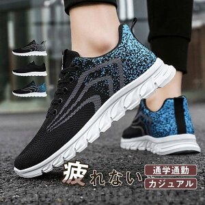 Xj[J[ X|[cV[Y Y jOV[Y EH[LOV[Y g[jOV[Y C Ȃ  ʊw ʋ 