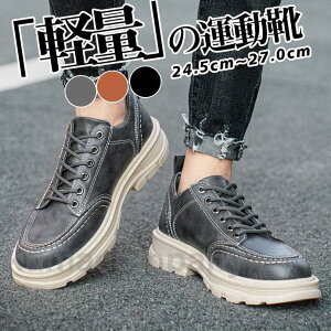 Xj[J[ Y y ₷ X|[c  U[ JWA jOV[Y StV[Y EH[LOV[Y 傫TCY  ^C