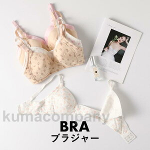 uW[ fB[X   K mC[ ԕ n   Vv  JWA Ci[