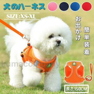 킢@n[lX  [h UR  ^ p o ȒP }WbNe[v   ̎q npi ObY