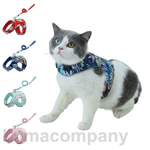 n[lX [h Lp xXg ybg ʋC [h n[lXZbg hbO U xXg^ {  EȒP Ռz Oo  S