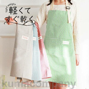 yXSi|Cg5{11܂ŁzGv ۈm Y fB[X | {[_[ k [NGv JtF  B jp y K   H