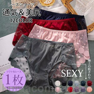 [XV[c fB[X 204050 1_ 3_ ĐV V[X V[c [X ZNV[ fB[X Ђтɂ tBbg