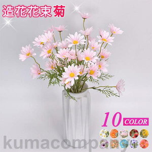 o^C e CeA t[  G i`  ԑ u[P tFCNO[ v[