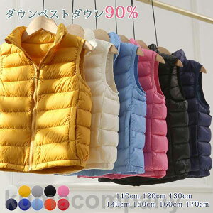 xXg LbY _ExXg q j̎q ̎q LgxXg  OJ vg `bL W 