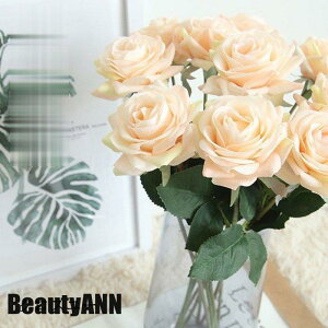 V \[vt[ 10{Zbg EGfBOu[P   ԉ u[P  ԑ [Y uC_u[P EFfBO AWg A[gt[ CeAt  