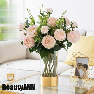 V \[vt[  CeA [Yo`  G i`   ԑ u[P tFCNO[   ԑ ~ ގ ޏ  j v[g M