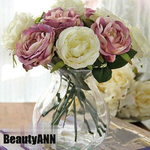 V \[vt[ 10{  CeA [Yo`  G i`   ԑ u[P tFCNO[   ԑ ~ ގ ޏ  j v[