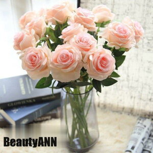 V \[vt[ 8{  CeA [Yo`  G i`   ԑ u[P tFCNO[   ԑ ~ ގ ޏ  j v[