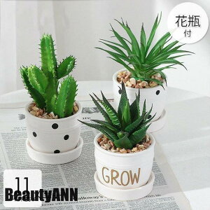 V \[vt[  CeA ԕrt t[AWg u[P p[c 傫  zj j ސEj i`eCXg   ԑ ~ ގ 