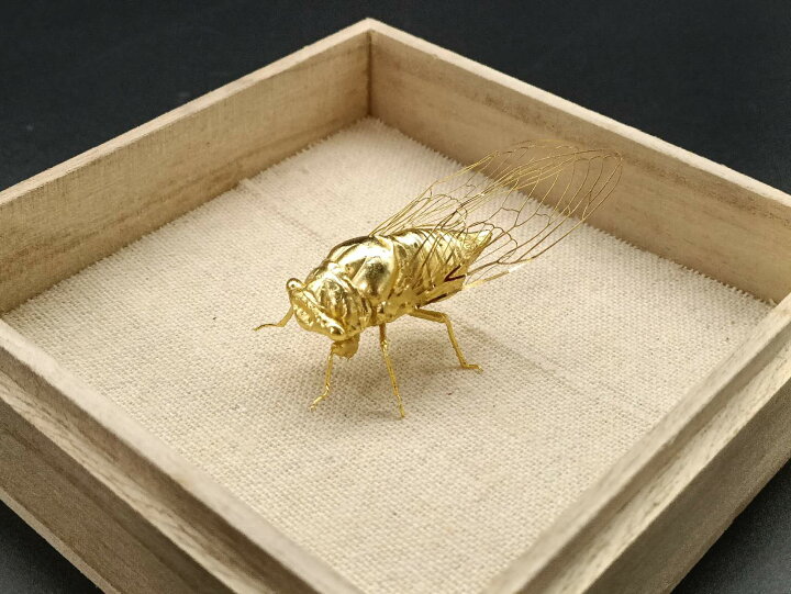 楽天市場】銅製置物 蝉 セミ 翼 金工品 細工品 約25G 桐箱付き 茶道具 