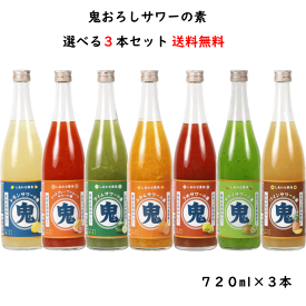 7種類から選べる 鬼おろし サワーの素 720ml×3本 送料無料 リキュール 北のさくら しあわせ果実