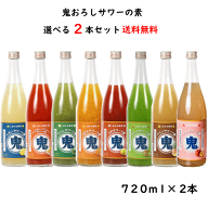 8種類から選べる 鬼おろし サワーの素 720ml×2本 送料無料 リキュール 北のさくら しあわせ果実