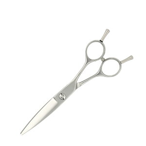 {僁[J[ etp / yPFzDEEDS GDZ Ch VU[ (6.0C`) / et e et ͂ VU[ wAJbg