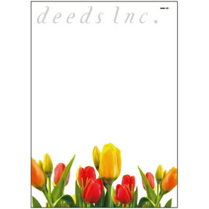 y̑c[z|XgJ[h DM-K101 250 / _CNg[ ͂ e T lC GXe