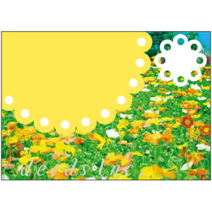 y̑c[z|XgJ[h DM-K104 250 / _CNg[ ͂ e T lC GXe