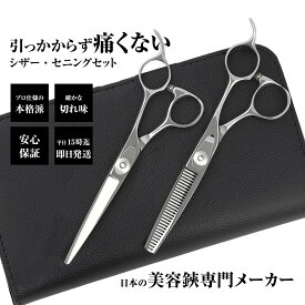 【メール便送料無料】【選べるスキ率】日本の鋏専門メーカー 鍛造仕上 DEEDS CP-01 シザー セニング セット スキ率 15~20%前後 25%前後 プレートネジ 美容師 理容 理容師 散髪 はさみ シザー セニング 散髪ハサミ