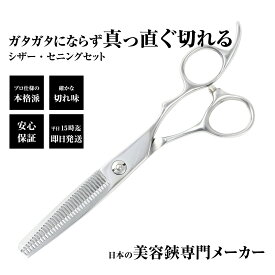 【メール便送料無料】日本の鋏専門メーカー 素人でもプロ仕上 ガタガタにならないスキ鋏 / DEEDS DP-02 セニング 15% (6.0)インチ 単品 すきばさみ セニングシザー 散髪 スキバサミ