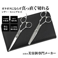 【メール便送料無料】日本の鋏専門メーカー 素人でもプロ仕上 ガタガタにならないスキ鋏と鋏の2本セット/…
