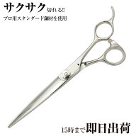 【メール便送料無料】日本の鋏専門メーカー 理美容師専用 刈上げ粗刈りに便利なロング鋏 /【PF】DEEDS ZL…