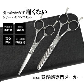 【メール便送料無料】日本の鋏専門メーカー 鍛造仕上 引っかからないスキ鋏と鋏の2本セット/DEEDS PP-02 シザー セニング セット 美容師 理容 理容師 散髪 はさみ シザー セニング 散髪ハサミ