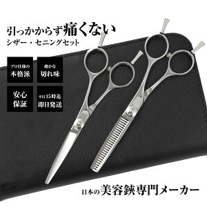 【メール便送料無料】日本の鋏専門メーカー 鍛造仕上 引っかからないスキ鋏と鋏の2本セット/DEEDS PP-02 シザー セニング セット 美容師 理容 理容師 散髪 はさみ シザー セニング 散髪ハサミ