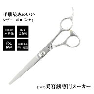 【メール便送料無料】日本の鋏専門メーカー 鍛造仕上 / DEEDS CP-01 シザー 単品/ 美容師 理容 理容師 散…