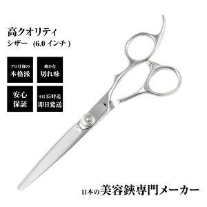 y[֑z{僁[J[ bd z[Jbgʃf / DEEDS XP-02 VU[ 6.0C` Pi/ et e et U ͂ VU[ wAJbg