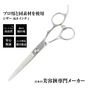 【メール便送料無料】日本の鋏専門メーカー 鍛造仕上 / DEEDS VP-01シザー(6.0インチ) 単品/ 美容師 理容 理容師 散髪 はさみ シザー 散髪ハサミ