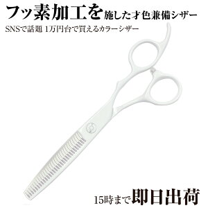 {僁[J[ etp /yPFzDEEDS GTZ630CCT zCg ZjO (6.0C`EXL35%O) /et e et ZjOVU[