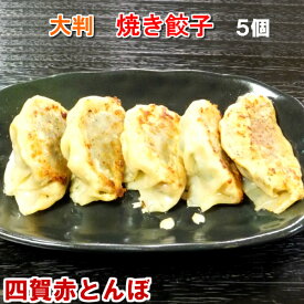 楽天市場 ホワイト 餃子 生産国韓国 の通販 楽天市場 ホワイト 餃子 生産国韓国 の通販