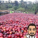 コーヒー豆 モカ・イルガチェフェG1ウェギダブルー 200g 400g 600g 1kg 送料無料 | メール便 送料無料 コーヒー コーヒー豆 お試し コーヒー豆 おすすめ モカコーヒー 豆 コーヒー豆 エチオピア シングルオリジン コーヒー ギフト アイスコーヒー