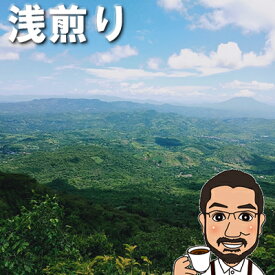 華やかな香りが広がる アナエロビックナチュラル グァテマラ グアルバドール農園 パーカス 浅煎り シングルオリジン コーヒー豆 200g 600g 1kg 送料無料 珈琲豆 コーヒー 粉 コーヒー豆 お試し