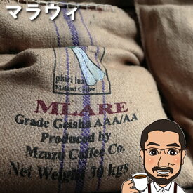 ベリーのような果実感 マラウィ ミスク農協 中煎り シングルオリジン コーヒー豆 200g 400g 600g 1kg 送料無料 珈琲豆 コーヒー 粉 コーヒー豆 お試し