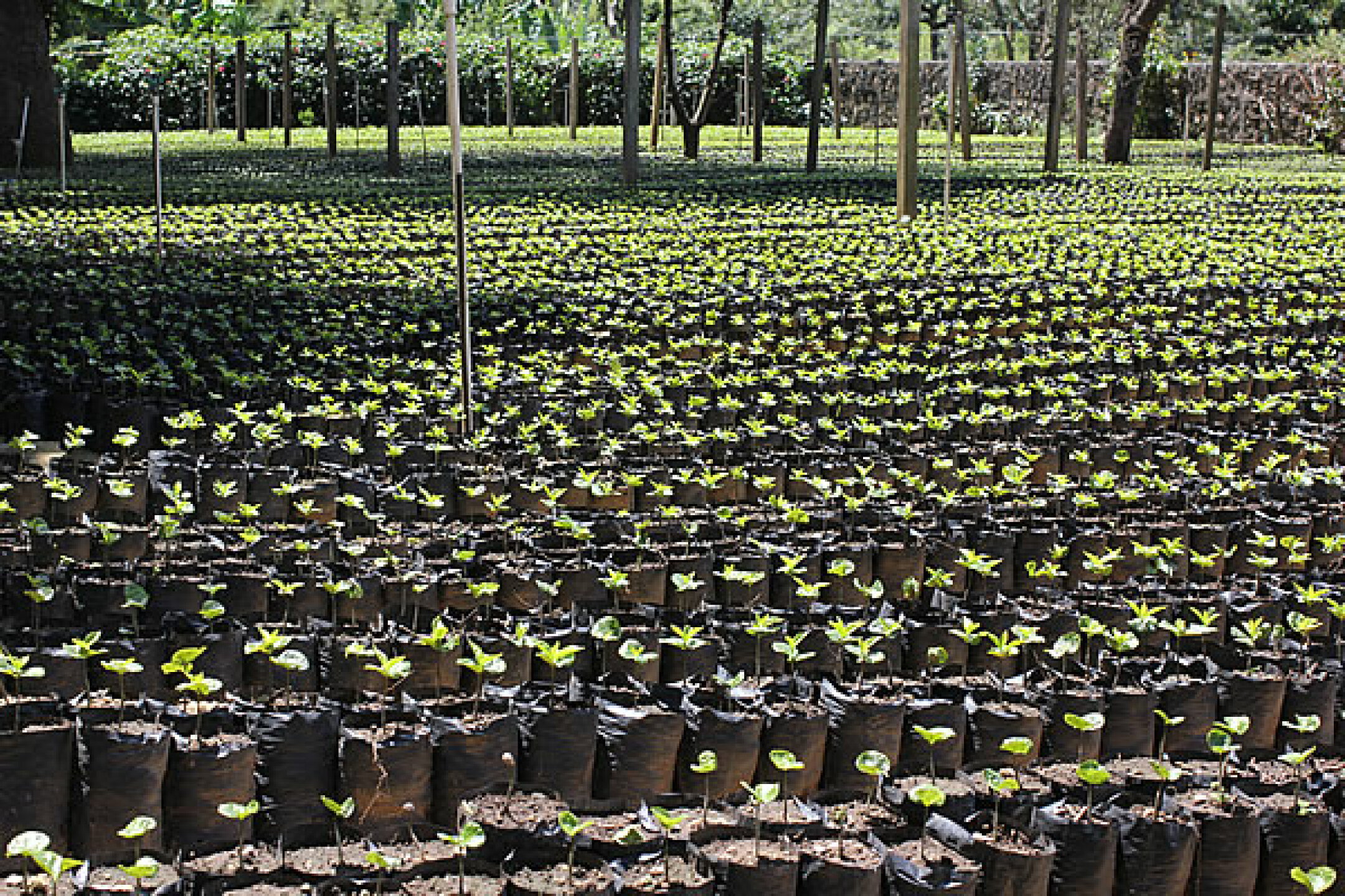 けっこう、たくさんある