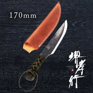  JX^iCt y Fs  S 170mm U[P[Xt z |   iCt a Őn a 蕨 v[g bsO ؐn쏊