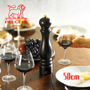 tX ybp[~ y vW[ yp[~ `R 50cm z RVE҂ ~ vW[ Ӟ ҂ т 傤 ubNybp[ l v Ɩp PEUGEOT v[g bs