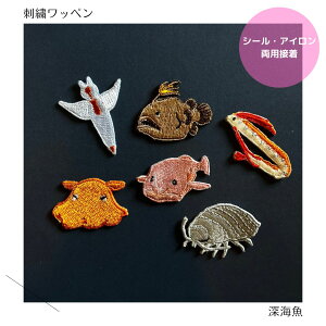 �i����j�[�C���̎h�J���b�y��