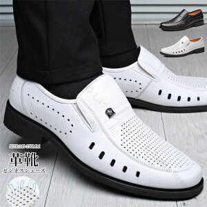 [t@[ bVV[Y Y ItBXT_ rWlXV[Y vC U[C ~ ʋCQ 芴 JWA tH[} tėp ̓ Mtg v[g ŉ