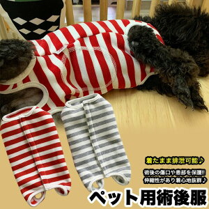  L p㕞 {[_[ ی pEFA  r߂Ȃ ybgpi ybg GUxXJ[ Kf ȒPE LkQ