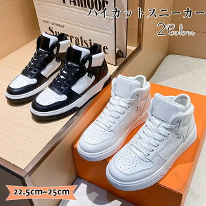 Xj[J[ fB[X     w h nCJbgXj[J[ ^C EH[LOV[Y ʋ ʊw JWA y ~ AEghA _炩 ₷ ʋC 