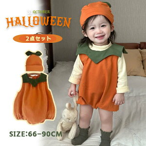 nEB ڂ p[X 2_Zbg Xqt Ԃ LbY xr[ q ̎q j̎q nEB[ RXv ߑ p[eB[   H~ Jo[I[ v[g 66 7