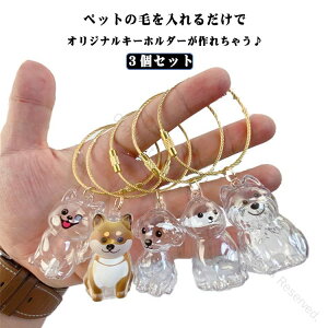犬のキーホルダー 3個セット ペット 遺毛入れ ケース 遺毛 3個セット ペットメモリアルボトル 透明 抜け毛収納 携帯 持ち歩き 毛を保管するボトル かわいい コンパクトで丈夫な素材使用 ペ